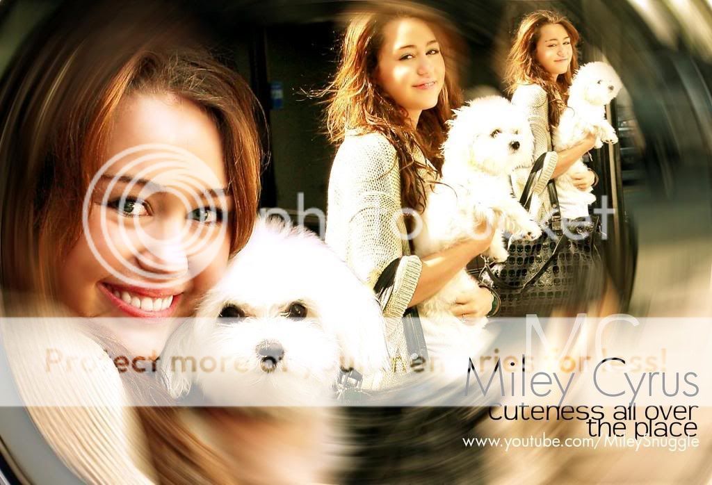 Bg-MileyCyrus3.jpg miley cyrus and her dog sophie image by mariela123451 Bg-MileyCyrus3.jpg miley cyrus and her dog sophie image by mariela123451