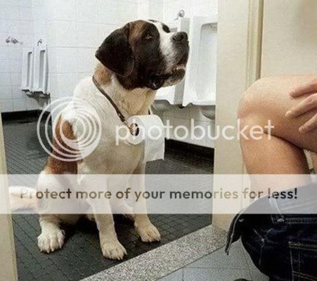 Komik Resimler (2.Katalog)