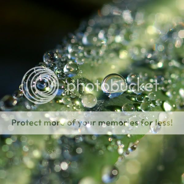 71694482i9t5bfs9dsc8256zs2