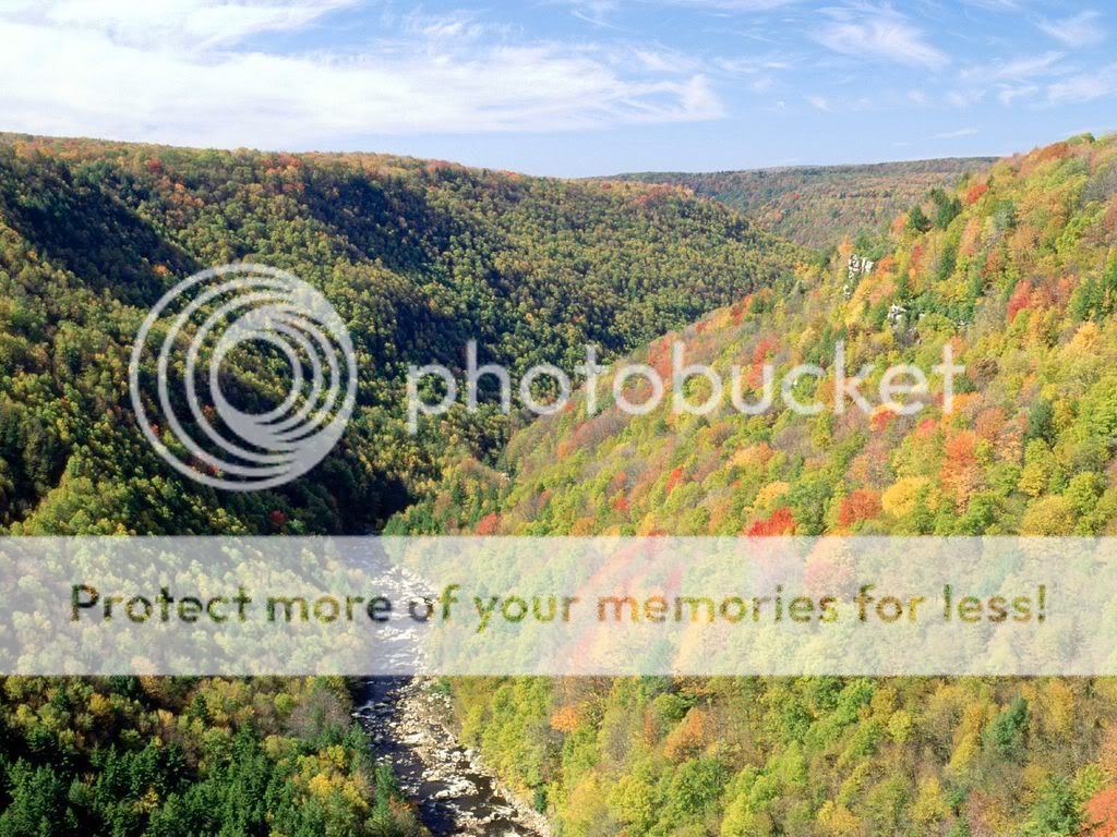 BlackwaterRiverFromPendletonOverloo