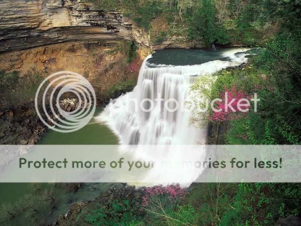 BurgessFallsinEarlySpringTennessee