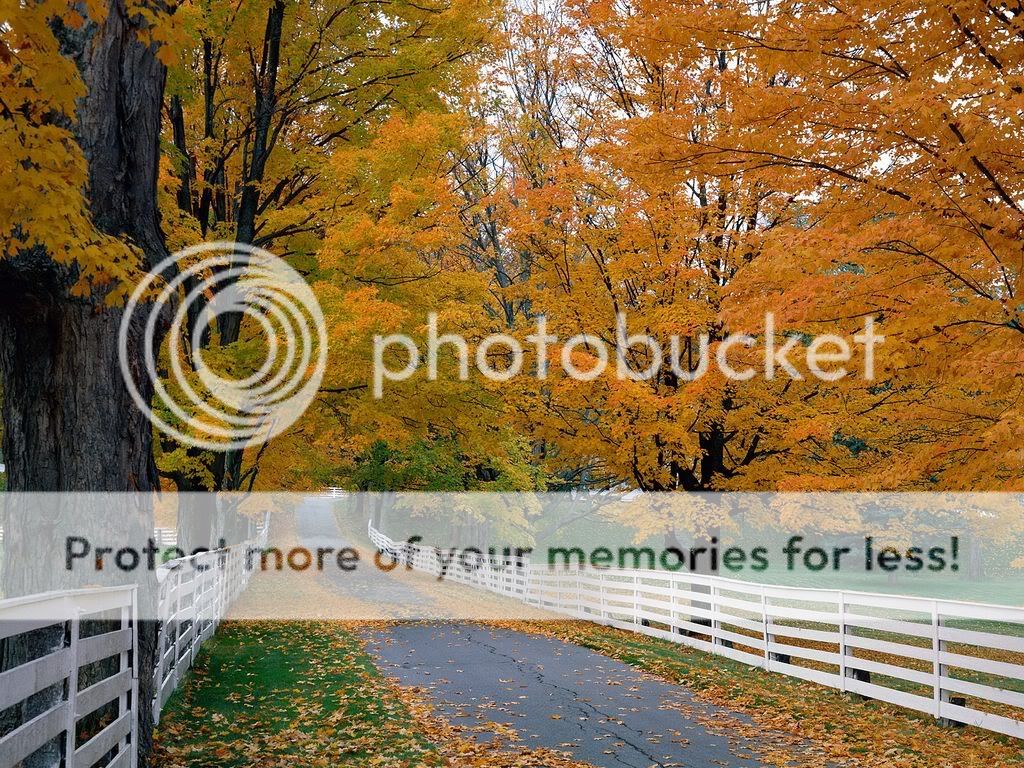 ScenicBackroadNewHampshire