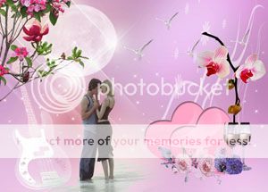 nicerow - Rower (Montanamax) nicerow