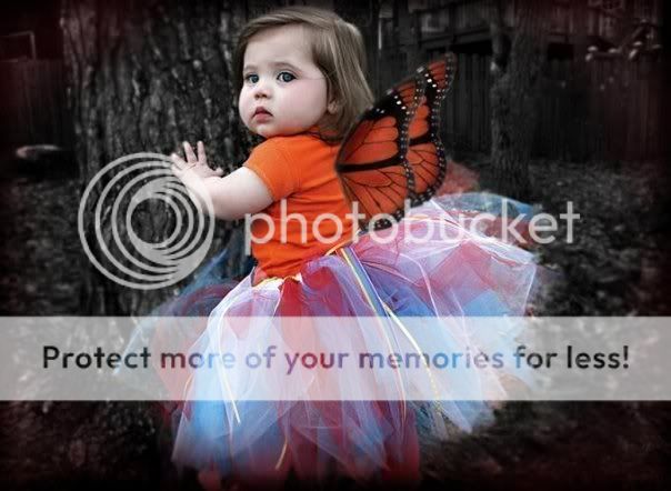 user297362 pic15433 1232443909