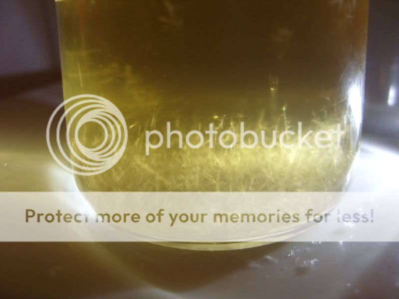 http://i348.photobucket.com/albums/q329/Phlux-/SDC13712_800x600.jpg