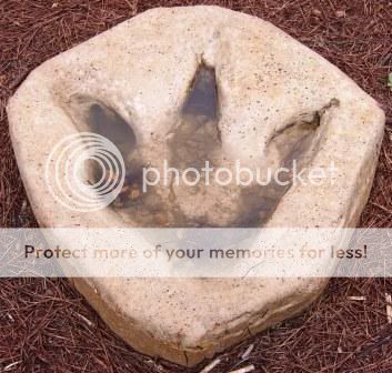 Dinosaur Footprints