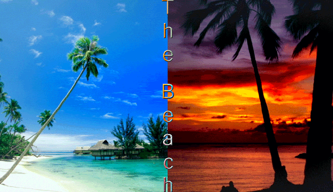 beaches.gif